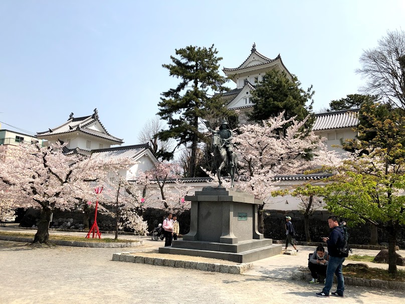 桜満開　大垣城へ　おばちゃんの一人旅